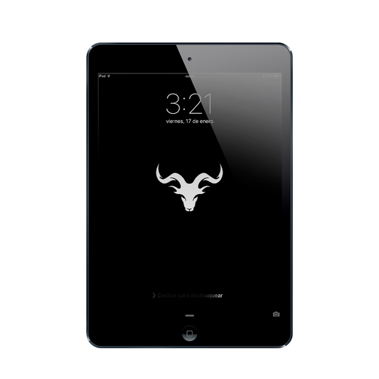 iPad Mini 1